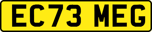 EC73MEG