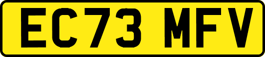 EC73MFV