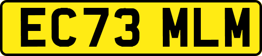 EC73MLM