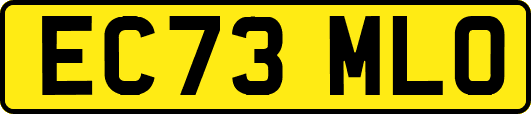 EC73MLO
