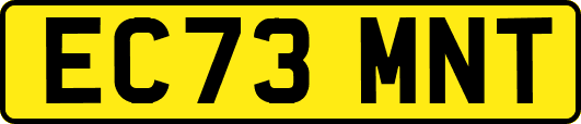 EC73MNT