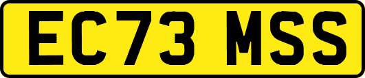EC73MSS