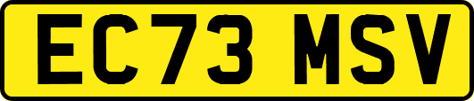 EC73MSV