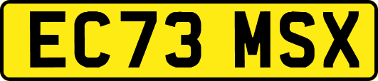 EC73MSX