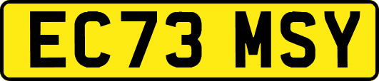 EC73MSY