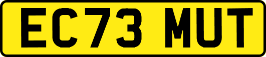 EC73MUT