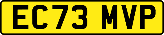EC73MVP