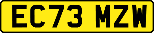 EC73MZW