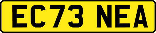 EC73NEA