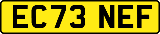 EC73NEF