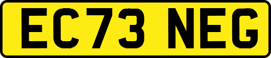 EC73NEG