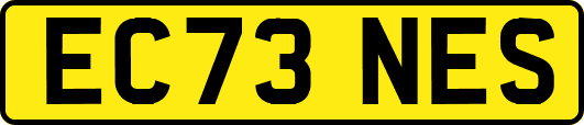 EC73NES