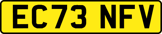 EC73NFV