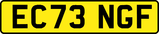 EC73NGF