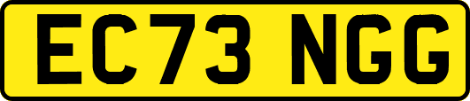 EC73NGG