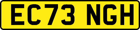 EC73NGH