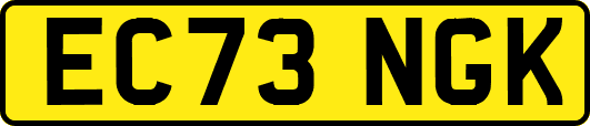 EC73NGK
