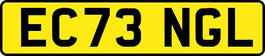 EC73NGL
