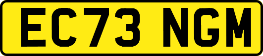 EC73NGM