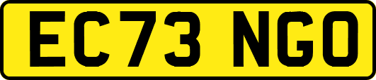 EC73NGO