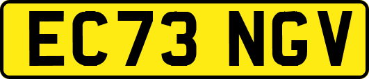 EC73NGV