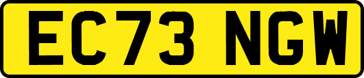 EC73NGW