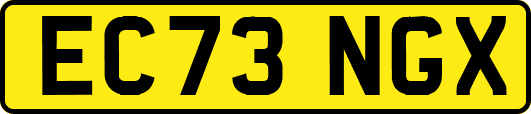 EC73NGX