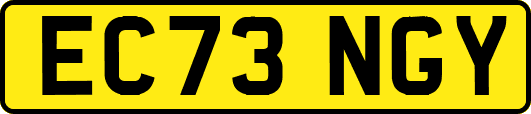 EC73NGY