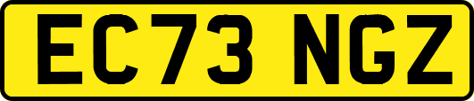 EC73NGZ