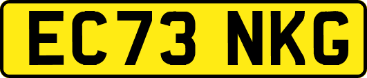EC73NKG