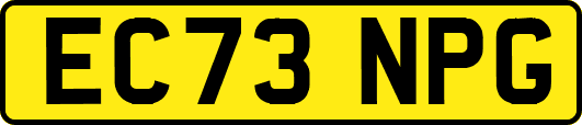 EC73NPG