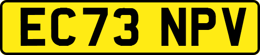 EC73NPV