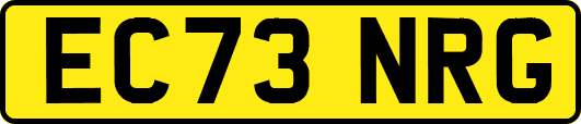 EC73NRG