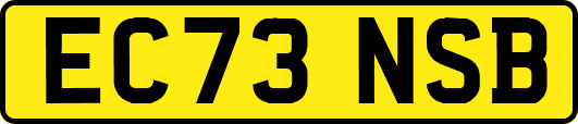 EC73NSB