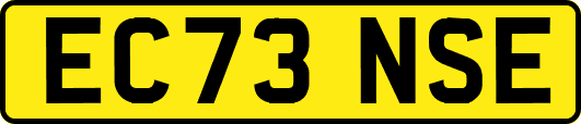 EC73NSE