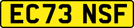 EC73NSF