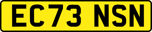 EC73NSN