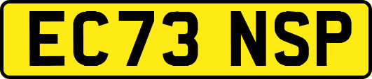 EC73NSP