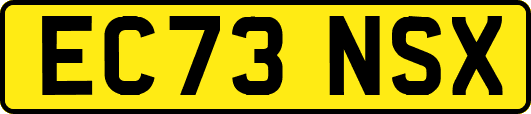 EC73NSX