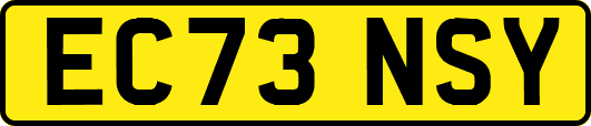EC73NSY