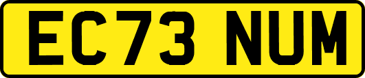 EC73NUM