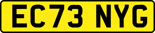EC73NYG