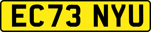 EC73NYU