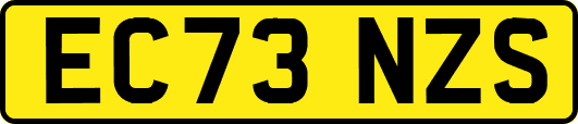EC73NZS