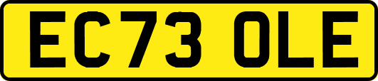 EC73OLE