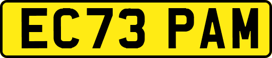 EC73PAM