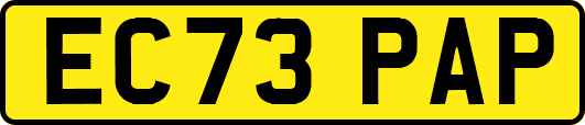 EC73PAP
