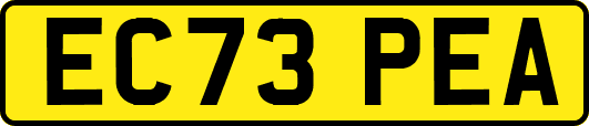 EC73PEA