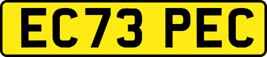 EC73PEC