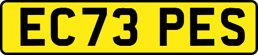 EC73PES
